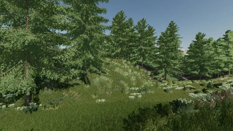 SÖLLBACH MAP 3