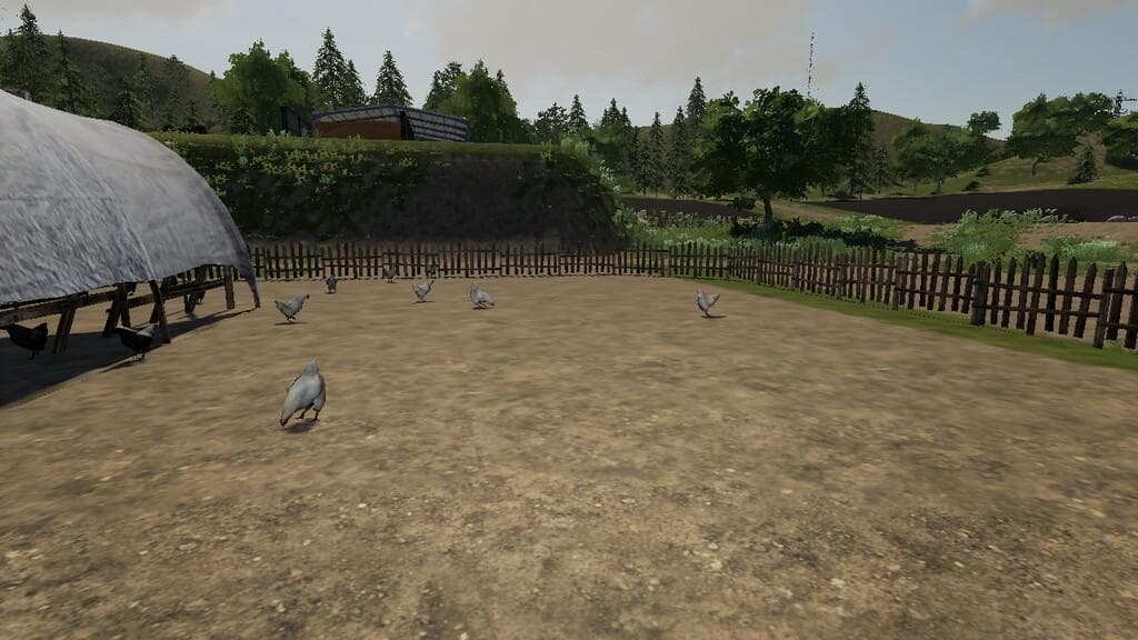 SOSNOVKA CHICKEN PEN 3