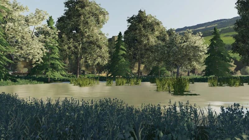 STASIOWA MAP 5
