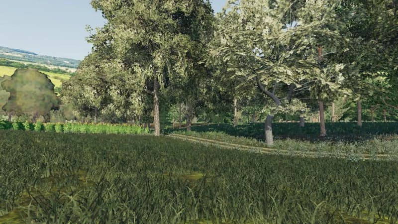 STASIOWA MAP 4