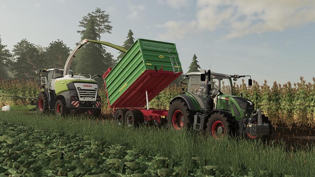 STRAUTMANN BUNDLE 3