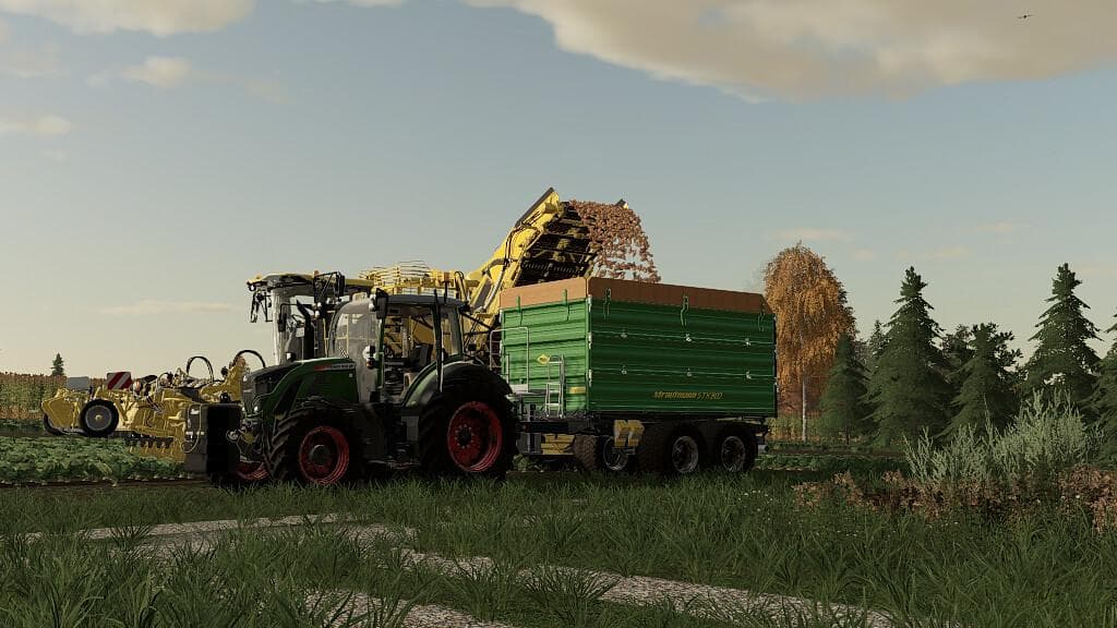 STRAUTMANN BUNDLE 2