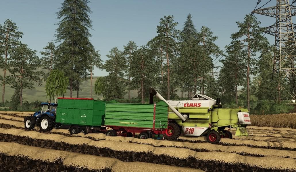 STRAUTMANN SZK 802