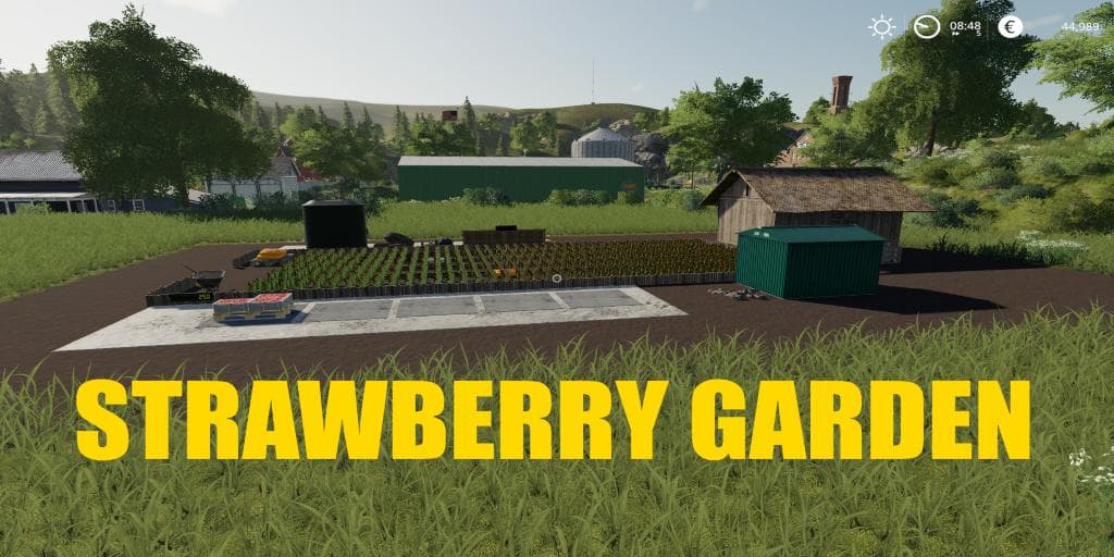 STRAWBERRY GARDEN 3