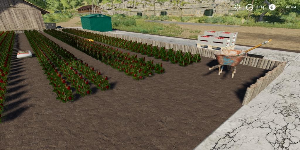STRAWBERRY GARDEN 2