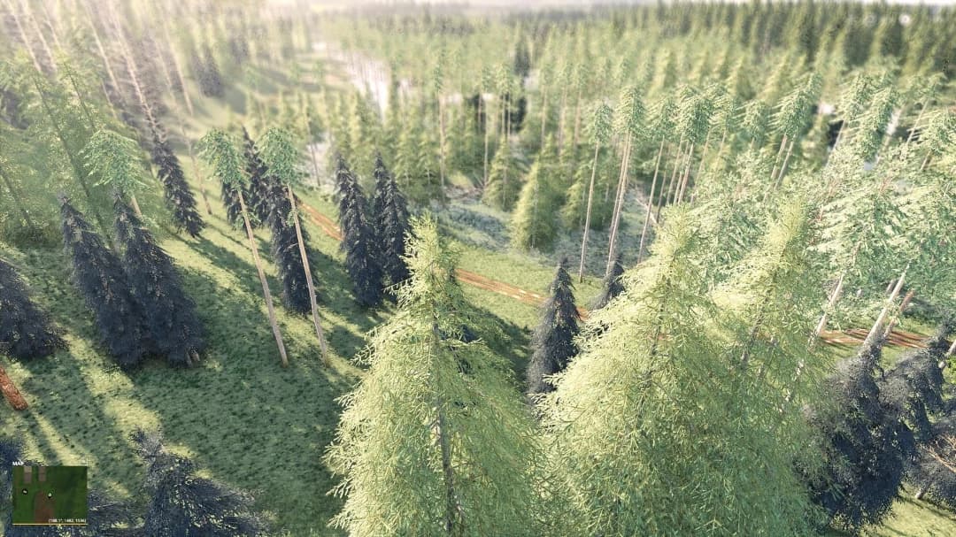 SWAMP FOREST VILLAGE 3