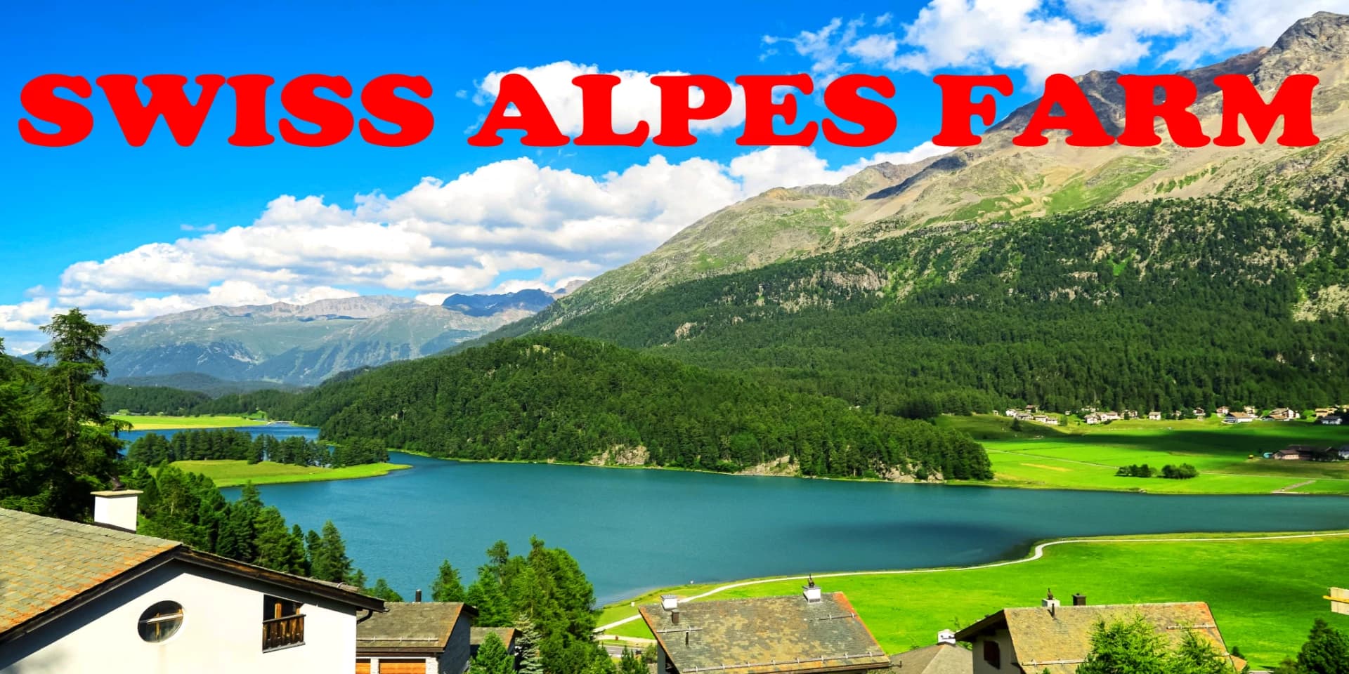 SWISS ALPS FARM 4