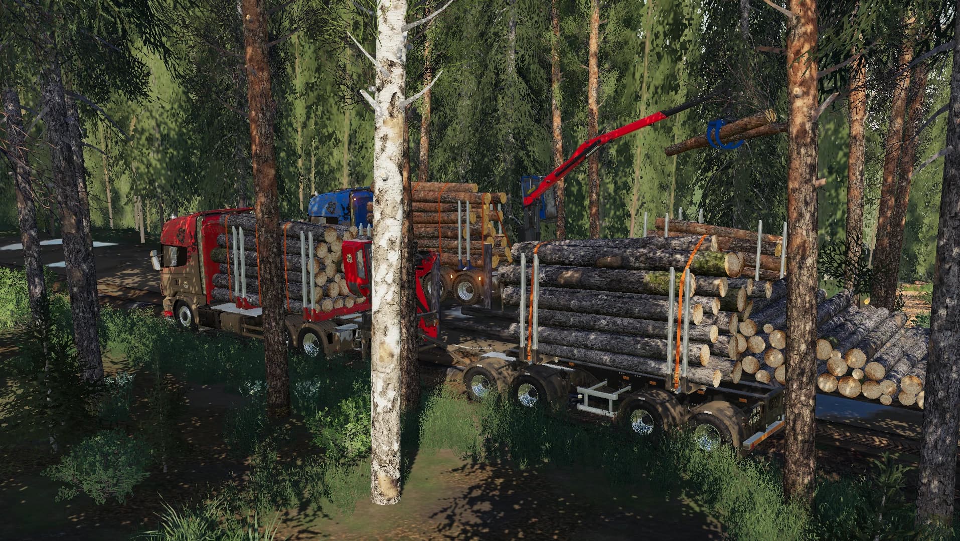 Scania R730S Timber Truck 2
