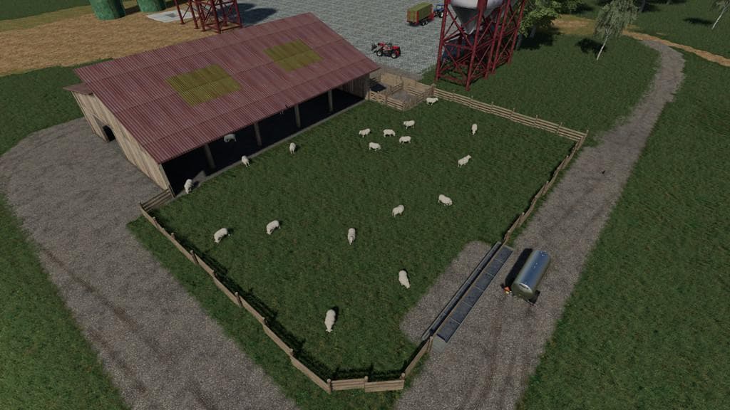 Sheep Husbandry