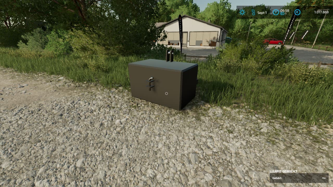 Simple weight 3