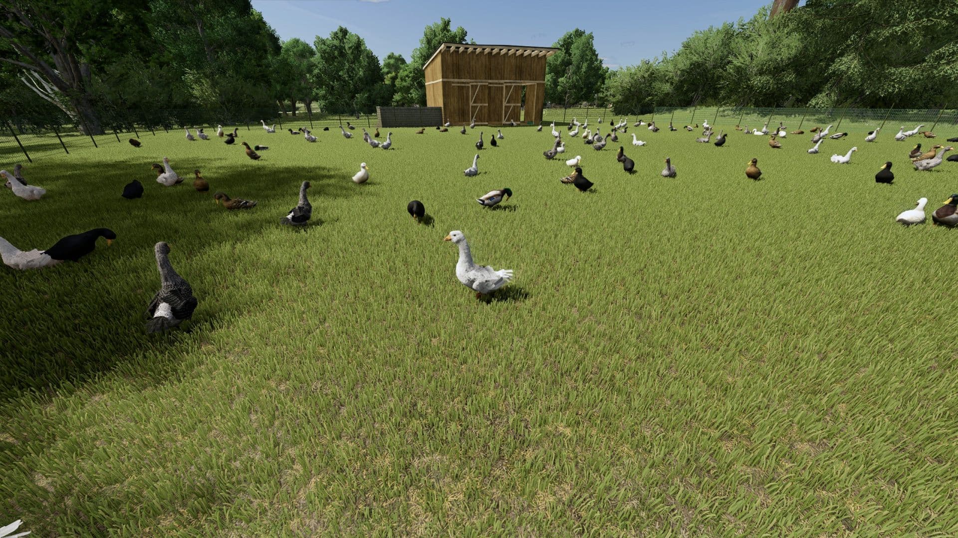 Small Lithuanian Village Edit 3