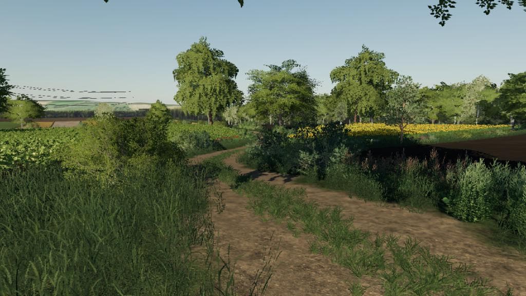 Starowies Map 5