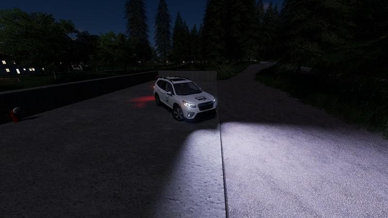 Subaru Forester 2019 IRL 3