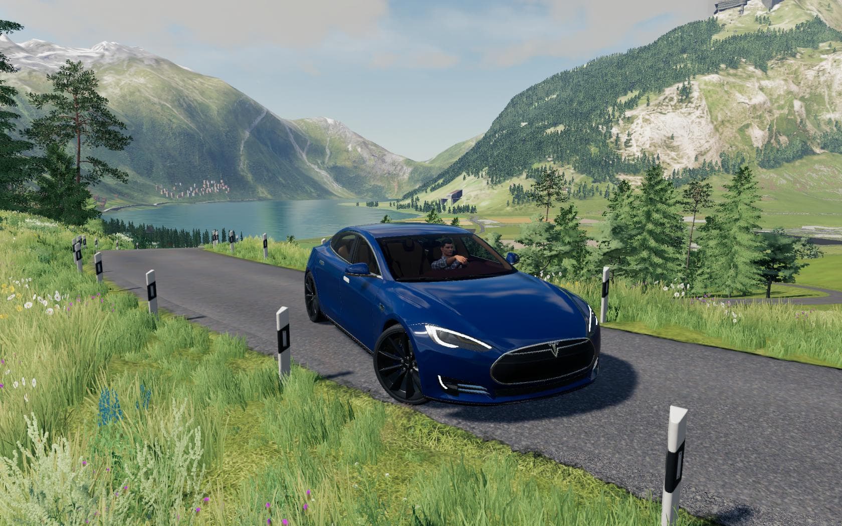 TESLA MODEL S 5