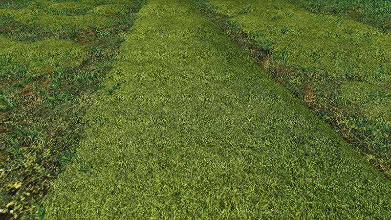 TEXTURE OF STRAW, HAY, GRASS 3