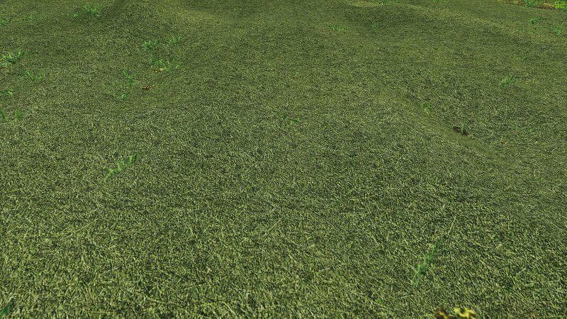 TEXTURE OF STRAW, HAY, GRASS 2