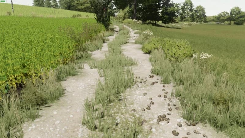 TEXTURES MEADOW 3