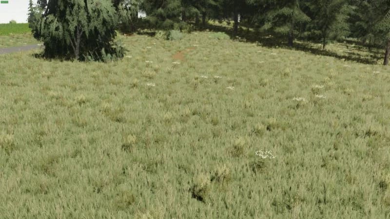 TEXTURES MEADOW