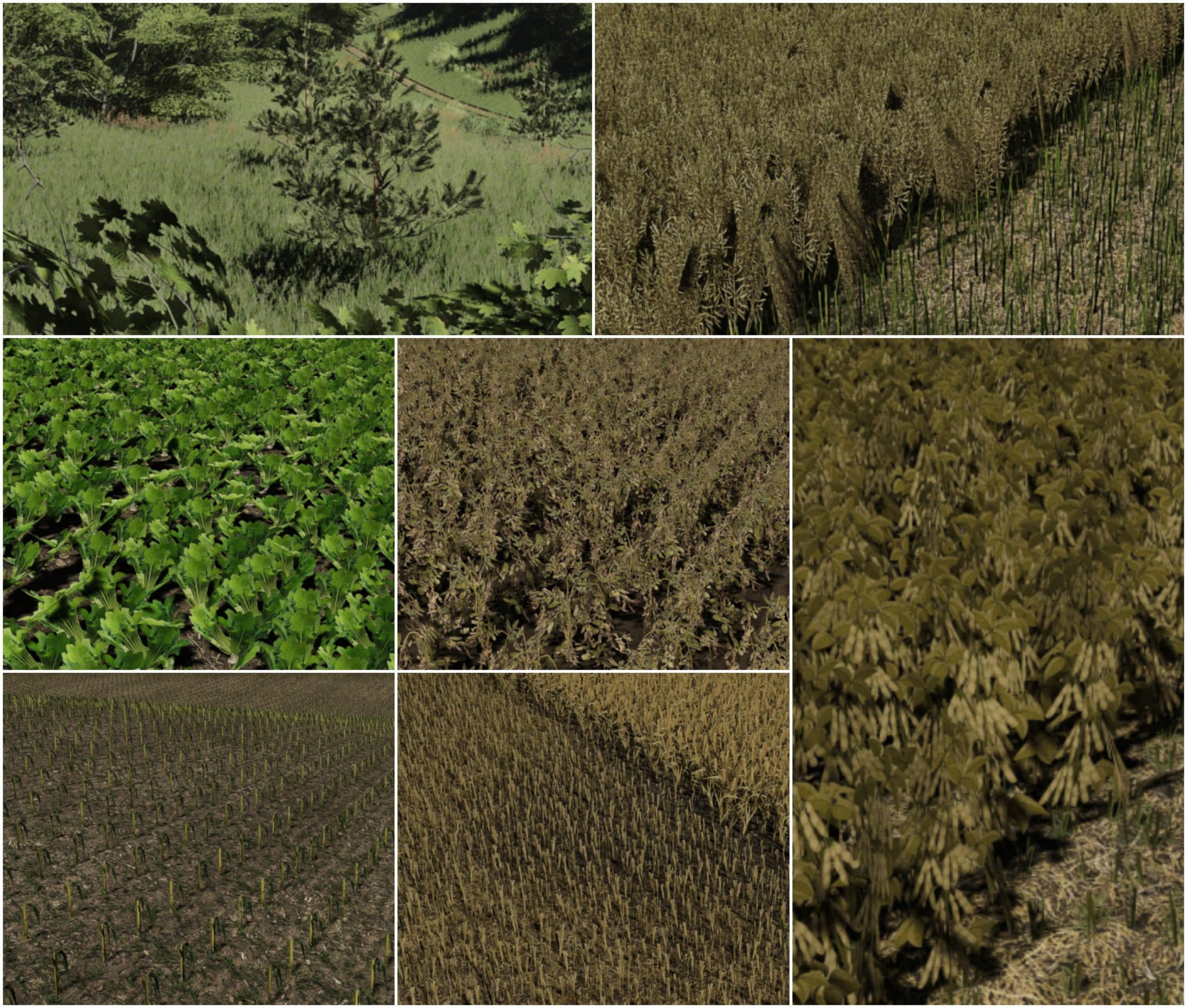 TEXTURES PACK