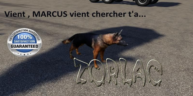 THE MARCUS DOG