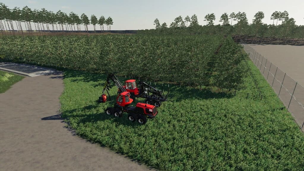 THE PLANTATION 4
