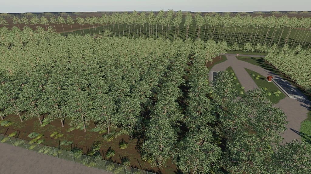 THE PLANTATION 3