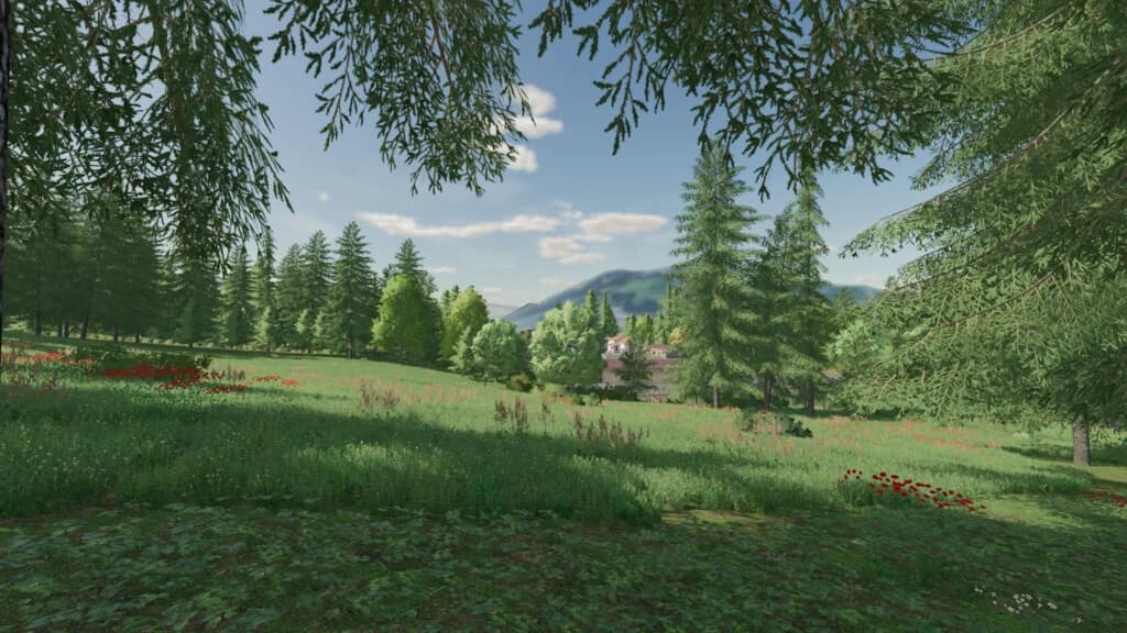 THE RISOUX FOREST 5