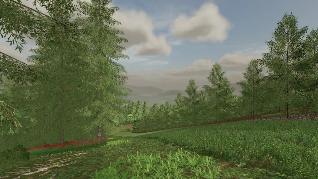THE RISOUX FOREST 3