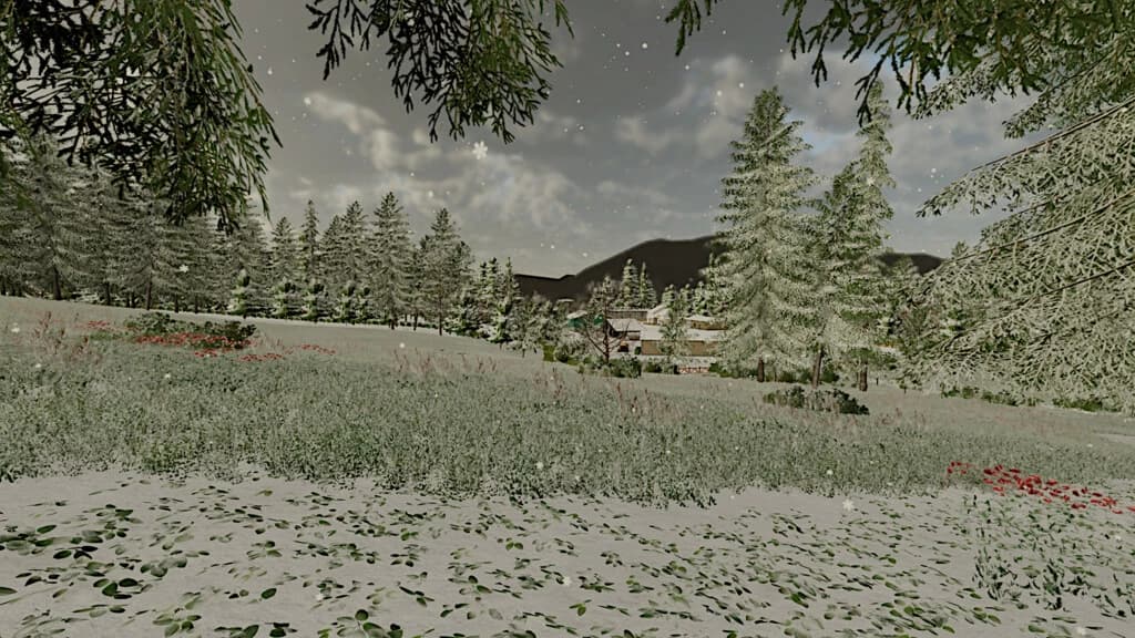 THE RISOUX FOREST