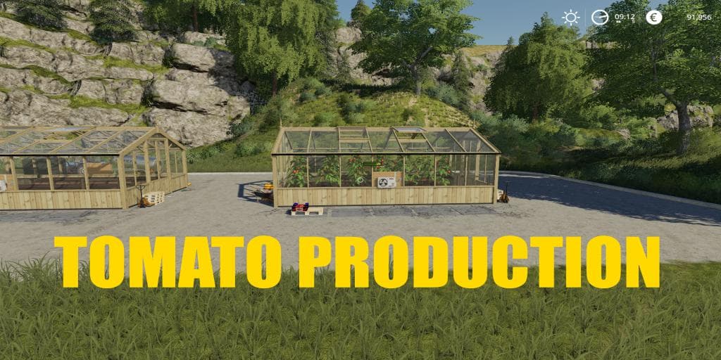TOMATO PRODUCTION 3