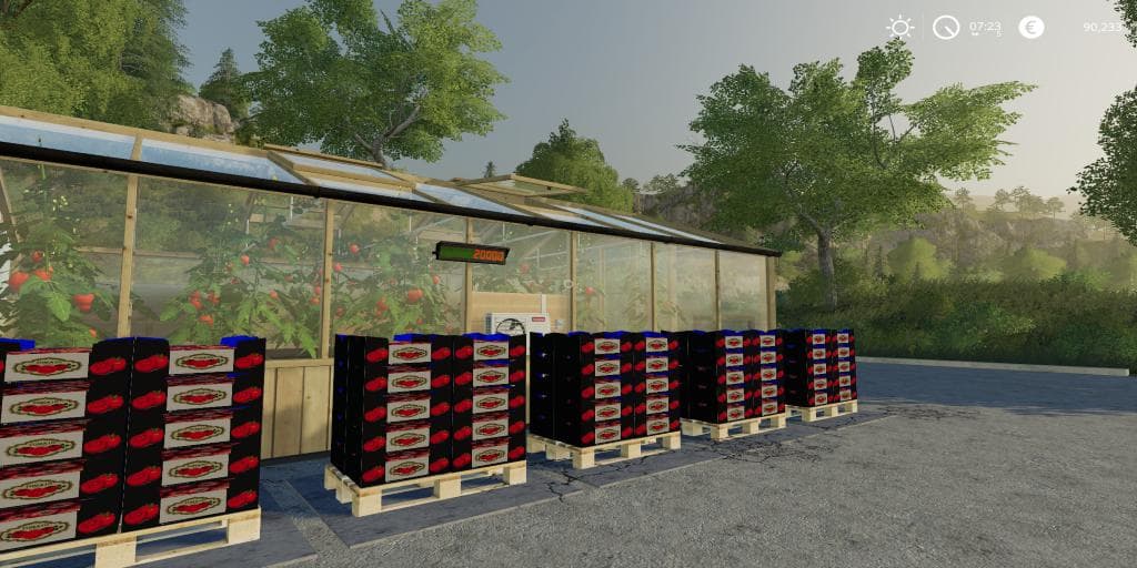 TOMATO PRODUCTION 2