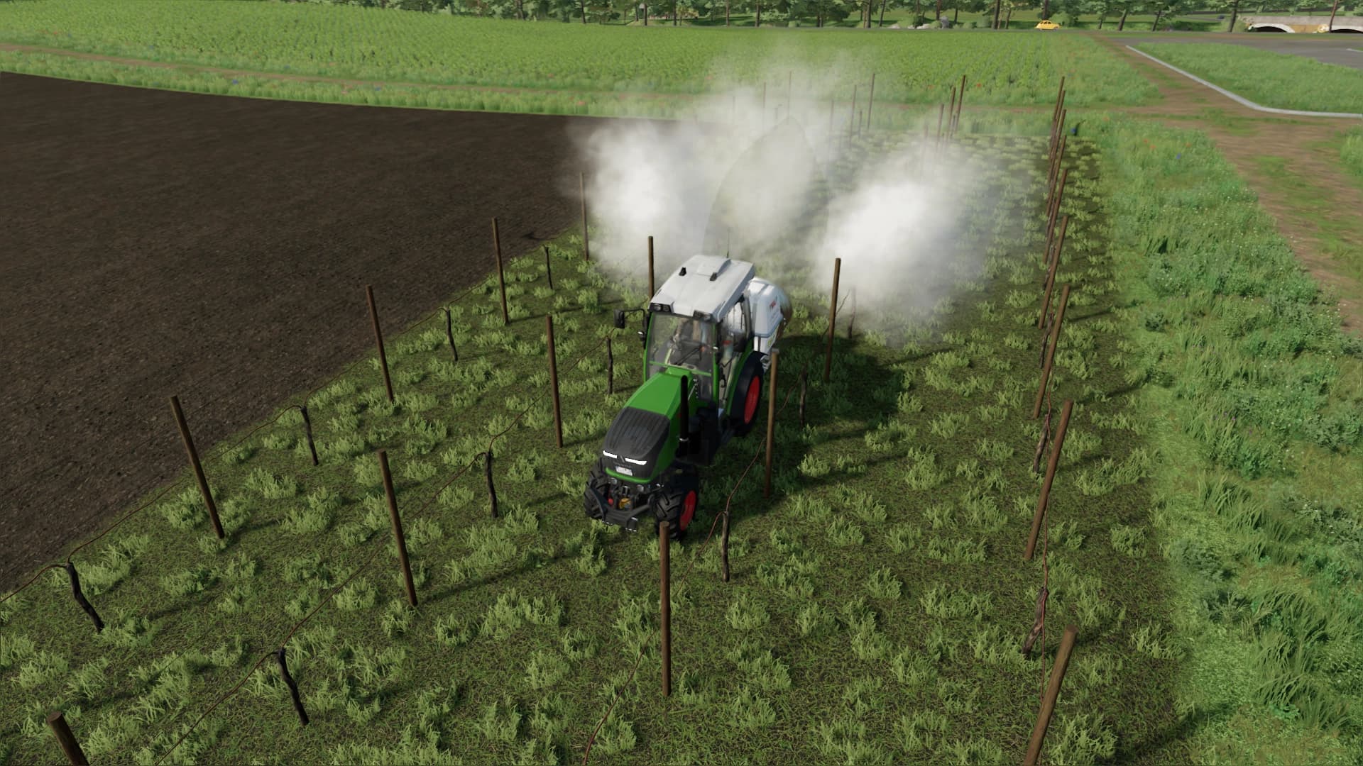 TORNADO VINEYARD 4