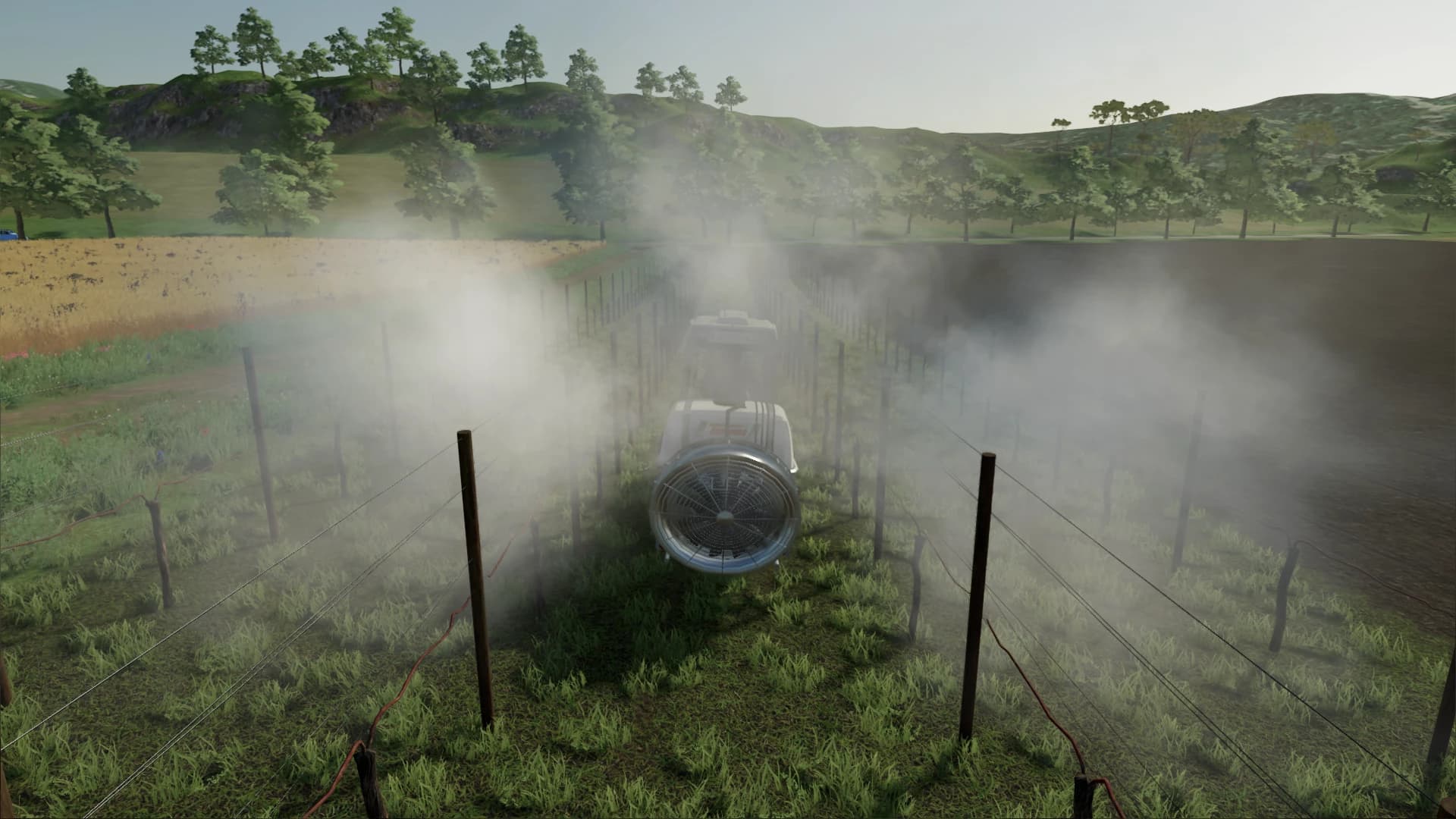 TORNADO VINEYARD 2