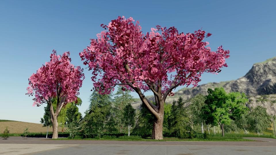 TREE PACK GRANNY TANA 4