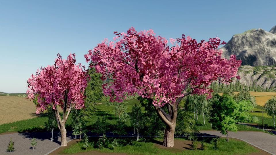 TREE PACK GRANNY TANA 3