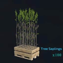 TREE SAPLING PALLET (100 PIECES)