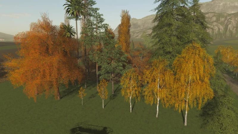 TREES 5