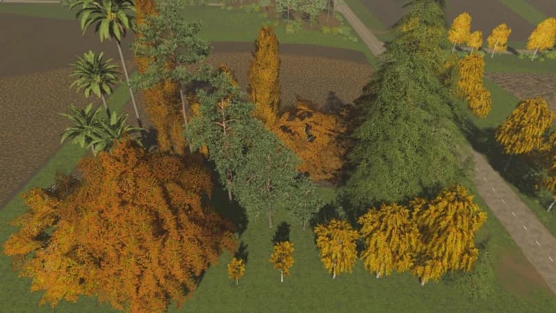 TREES 4