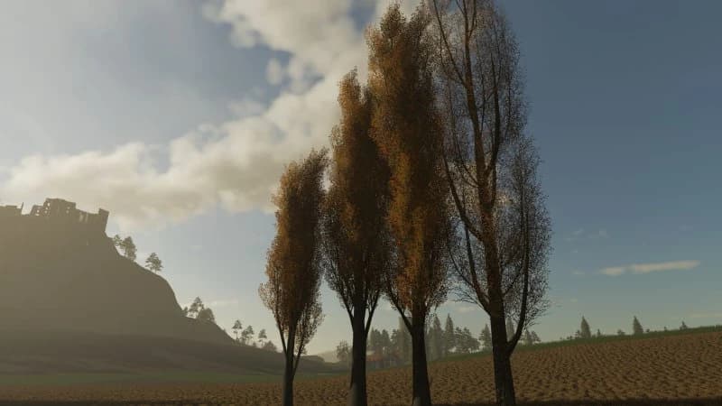 TREES 3