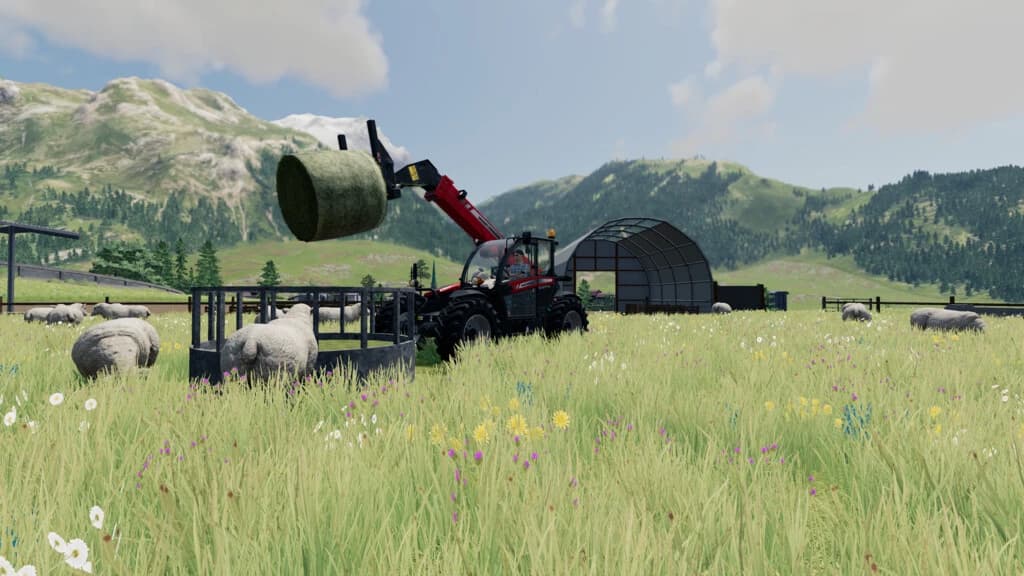 SHEEP PADDOCK WITH TUNNEL SHELTER 4