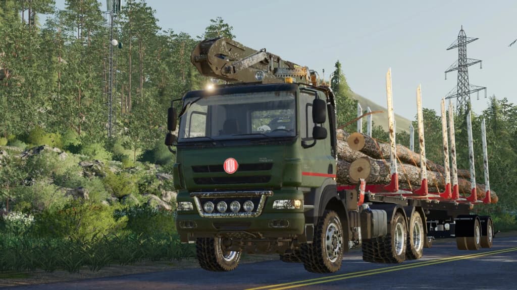 Tatra Phoenix L Crane 5