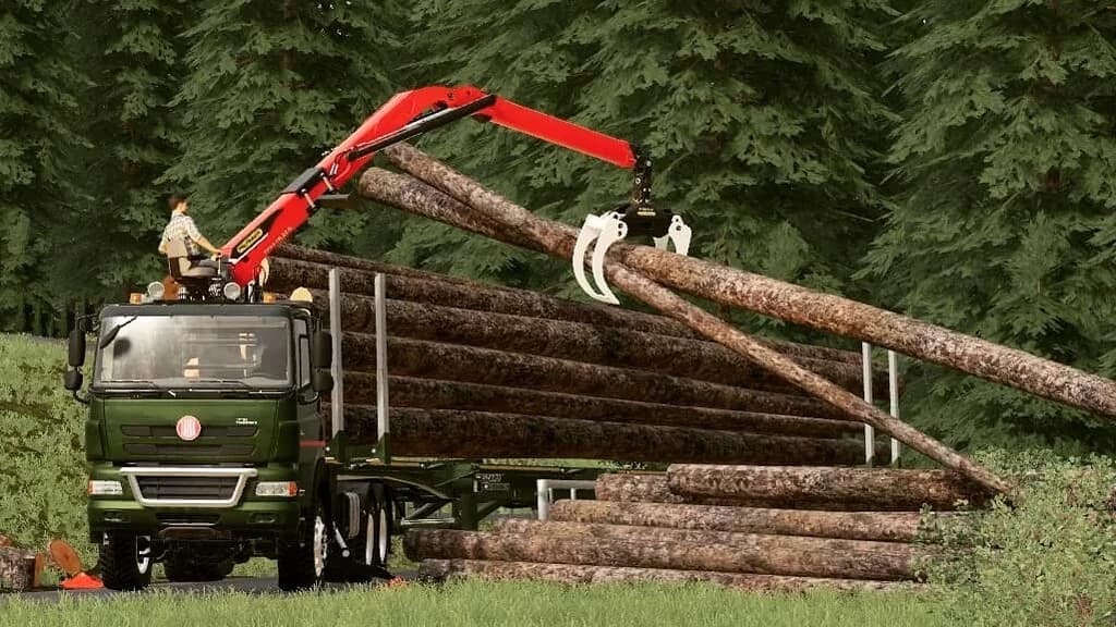 Tatra Phoenix L Crane 4