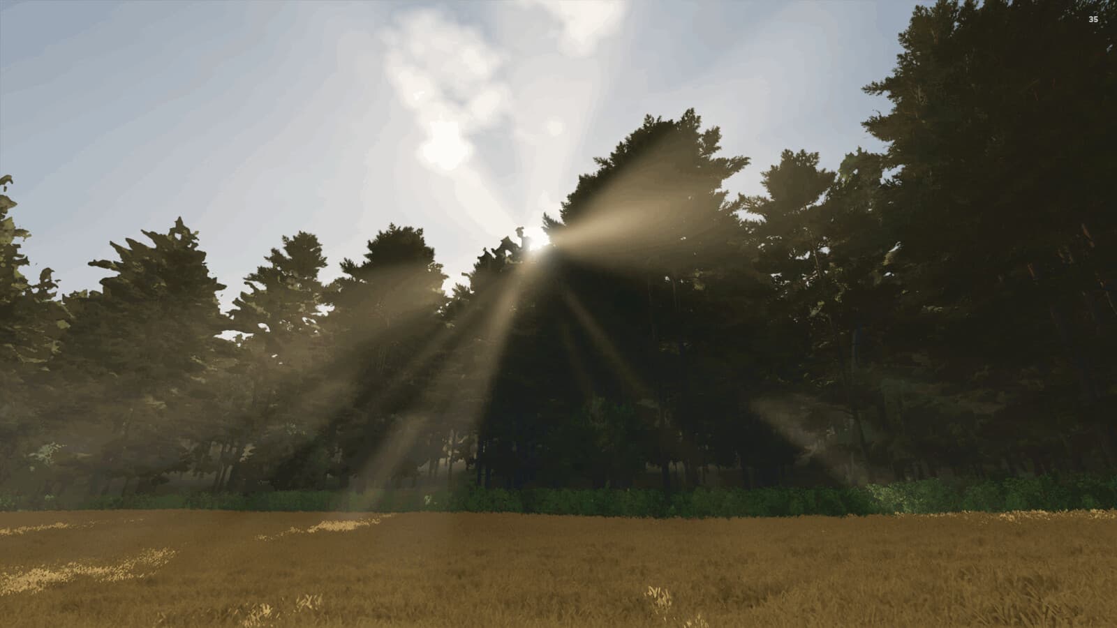 The Risoux Forest 2