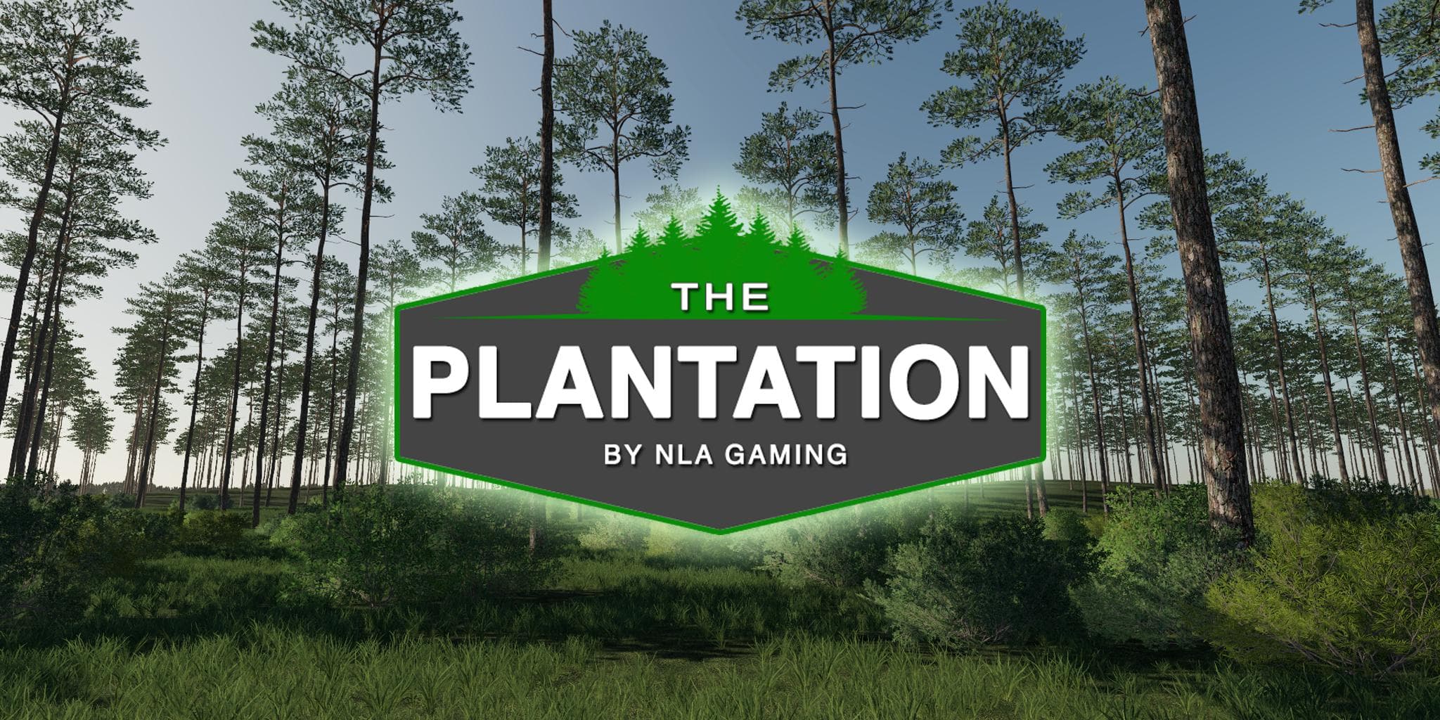 The Plantation 3