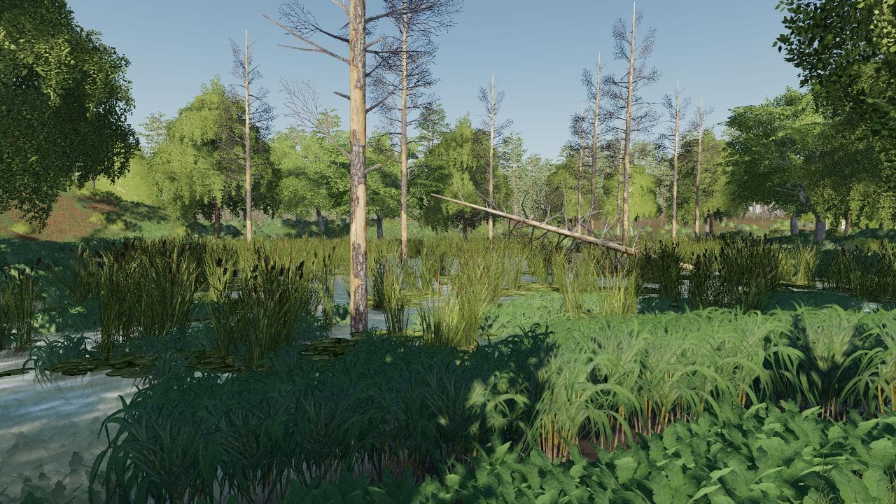The Plantation 2