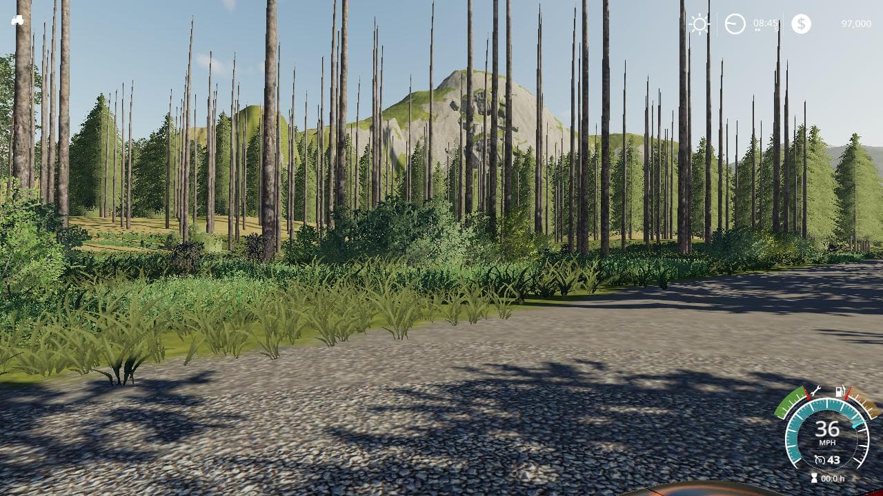 Timber Life 4