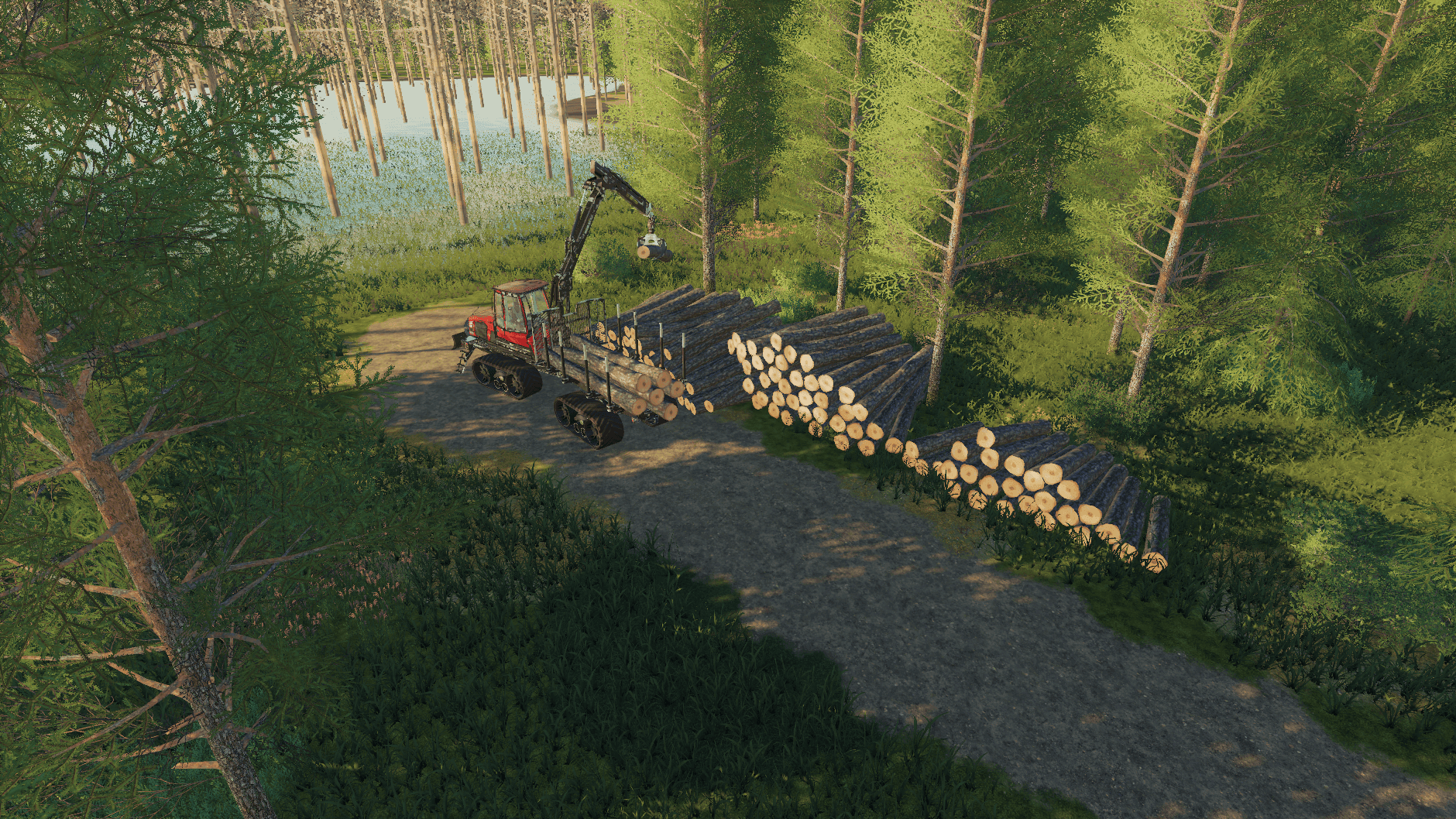 Timber Valley 3