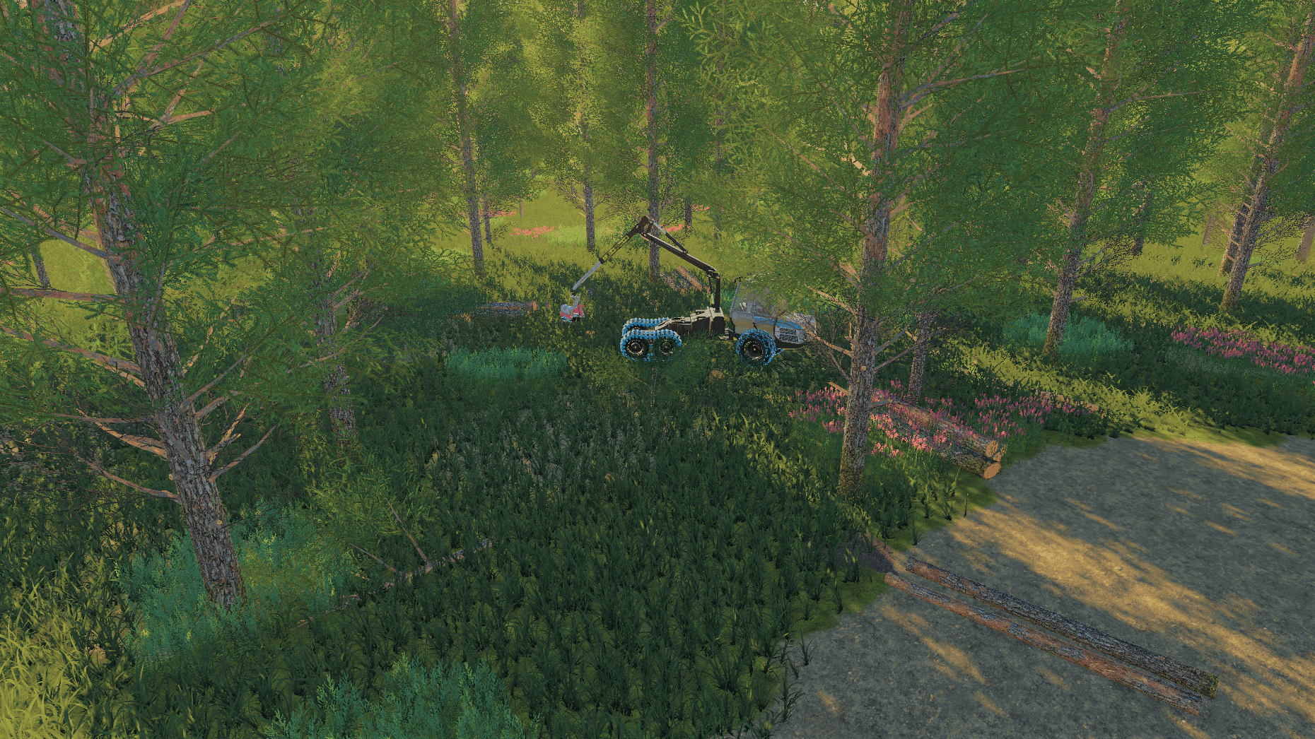 Timber Valley 2