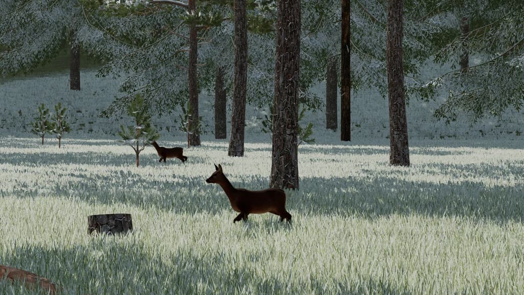 UMBREON VALLEY 5