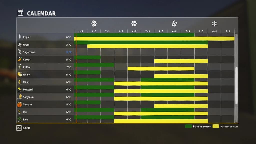 SEASONS GEO: VALLEY VIEW (MULTI FRUITS)